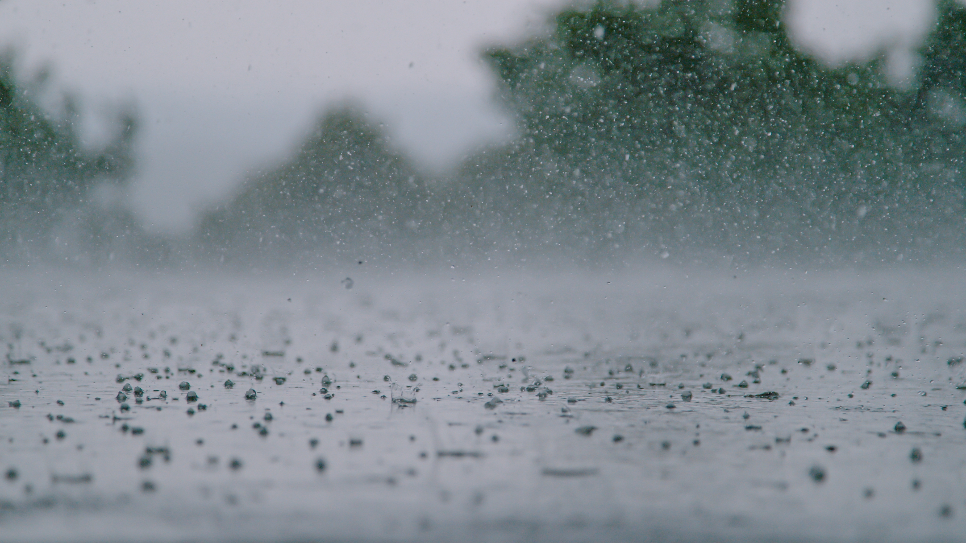 Professional Hail Damage Repair